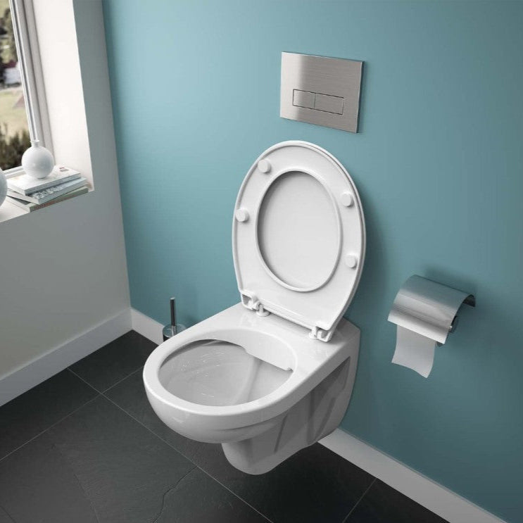 Eurovit Rimless Комплект моноблок